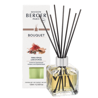 Difusor Bouquet Terre d'Épices 100ml