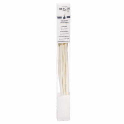 Pacote 6 Hastes de Salgueiro 21cm