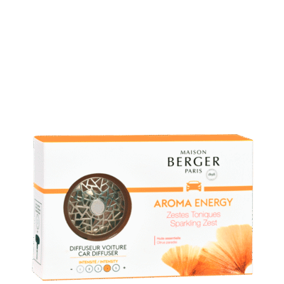 Difusor Carro Aroma Energy