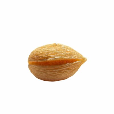 Vela Noz