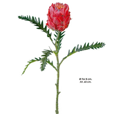 Protea 63cm - Vermelho