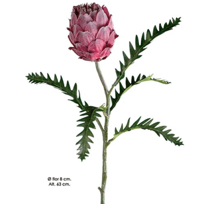 Protea 63cm - Rosa Seco