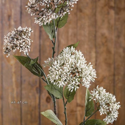 Ramo Sedum 67cm - Creme