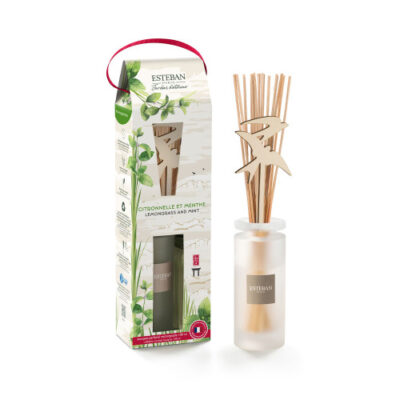 Difusor Bouquet Initial Encens et Thé Noir 100ml