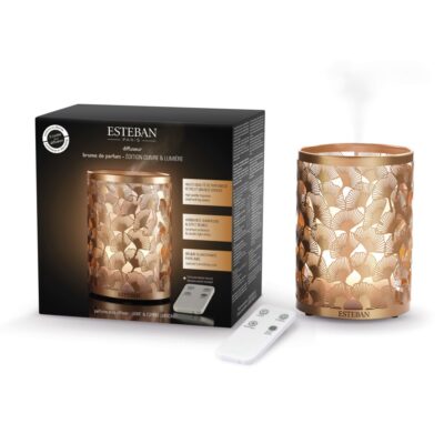 Cuivre & Lumière Edition