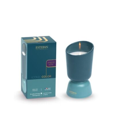 Vela Iconic Figue Noire 220gr