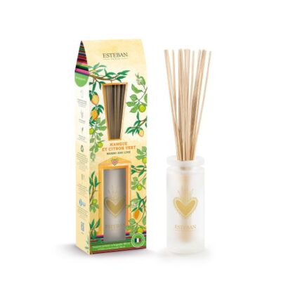 Difusor Bouquet Initial Mangue et Citron Vert 100ml