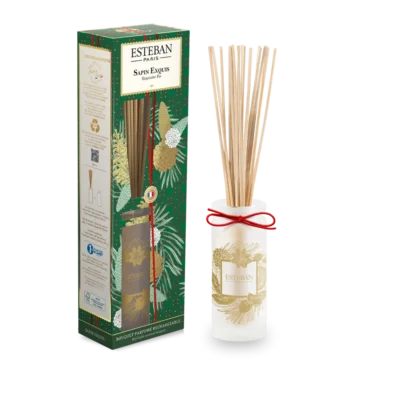 Difusor Bouquet Initial Sapin Exquis 100ml